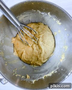 Sun-Kissed Orange Olive Oil Cake 6 Wet and dry ingredients for Orange Olive Oil Cake being gently mixed together in a stainless steel bowl with a spatula, creating a smooth batter.