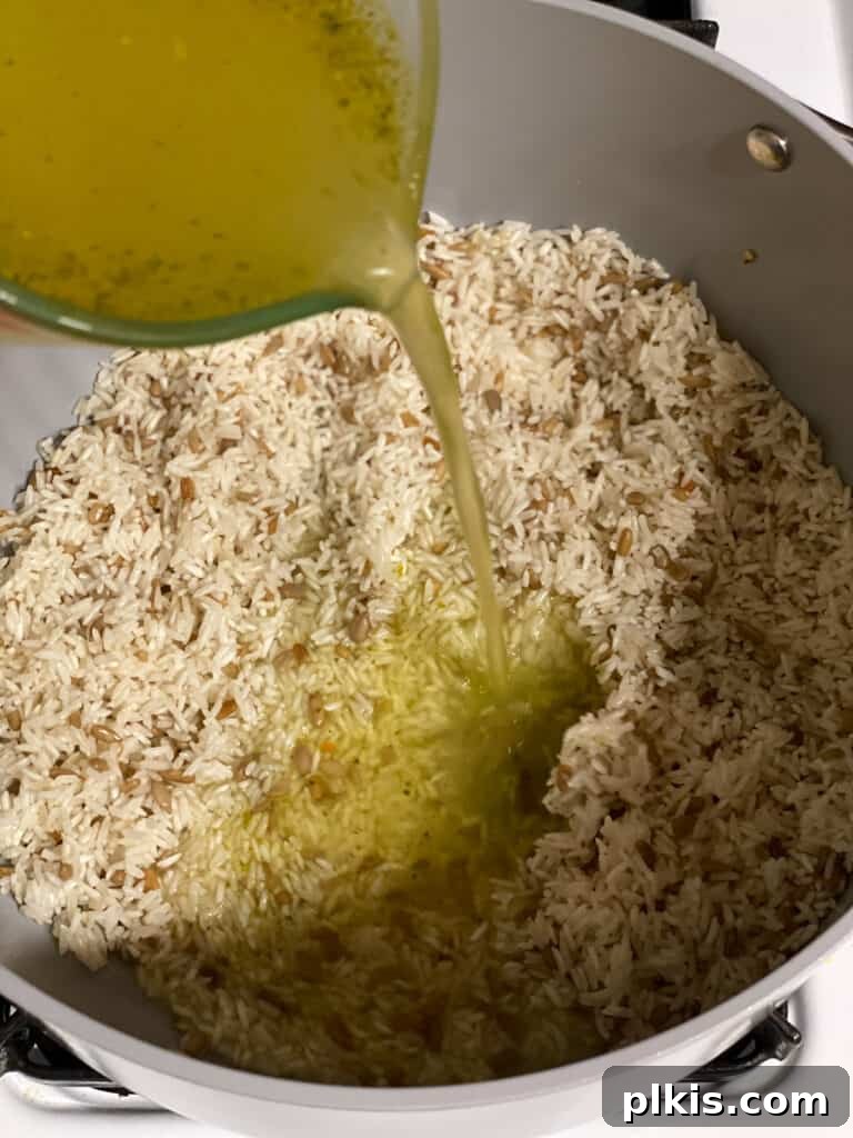 Process shot of pouring vegetable stock into the pot with toasted rice.