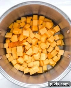 Golden Butternut Curry 5 raw cubed butternut squash in a stainless steel bowl