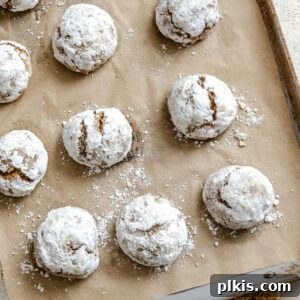 Festive Eggless Gingerbread Crinkle Cookies 12 Completed Gingerbread Crinkle Cookies (Eggless!) on a baking dish.