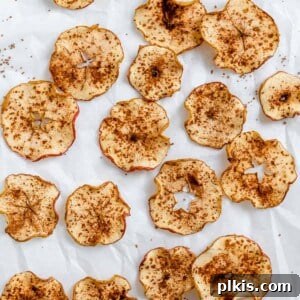 Crispy Apple Slices 5 completed Baked Apple Chips against a white surface