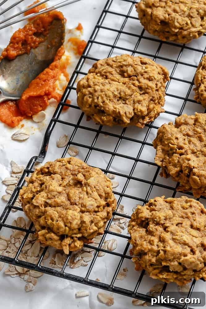 Spiced Pumpkin Oatmeal Cookies 2 Deliciously soft and chewy pumpkin oatmeal cookies cooling on a wire rack, showcasing their perfect texture and golden-brown edges. Ideal for a fall dessert or snack.