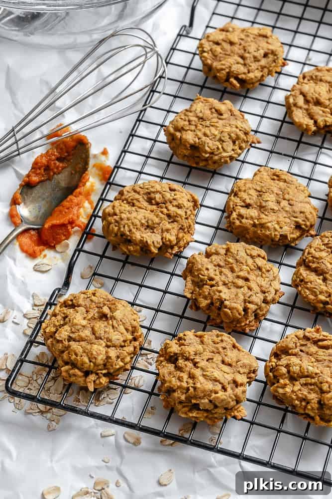 Spiced Pumpkin Oatmeal Cookies 8 A close-up shot of several completed pumpkin oatmeal cookies cooling on a metal wire rack, perfectly golden and inviting.
