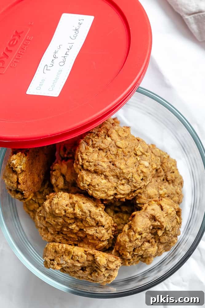 Spiced Pumpkin Oatmeal Cookies 9 Completed pumpkin oatmeal cookies neatly stacked inside an airtight storage container, ready to be kept fresh.