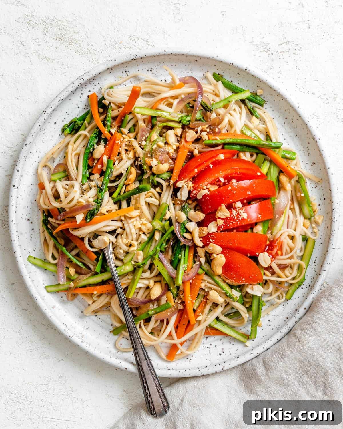 Vibrant Veggie Noodle Medley 2 completed Vegetable Noodle Stir Fry in a plate