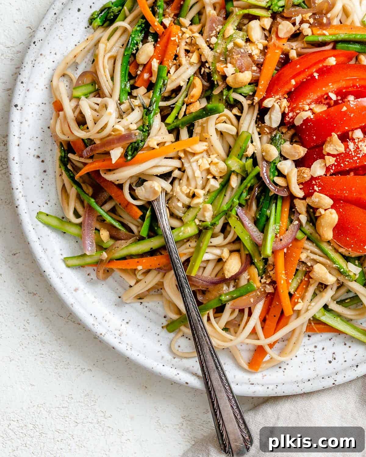 Vibrant Veggie Noodle Medley 12 completed Vegetable Noodle Stir Fry in a plate