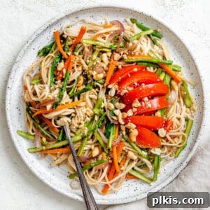 completed Vegetable Noodle Stir Fry in a plate