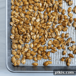 completed roasted spicy pumpkin seeds on a tray