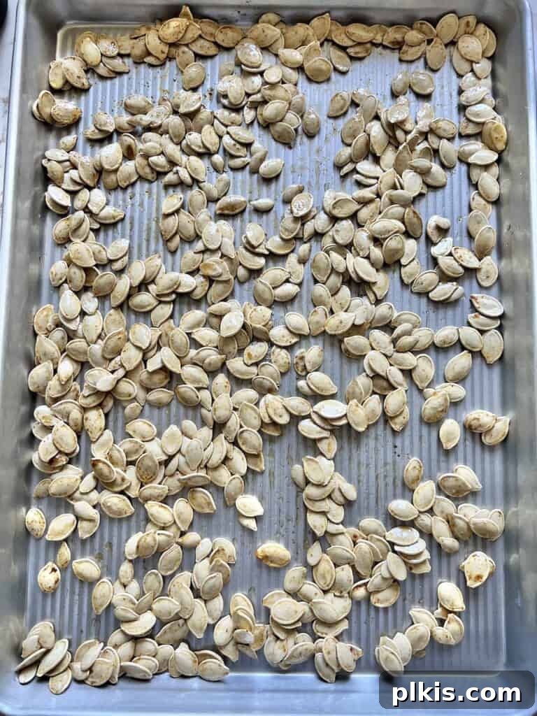 Fiery Roasted Pumpkin Seeds 6 Seasoned pumpkin seeds spread in a single layer on a baking tray, ready to be roasted.