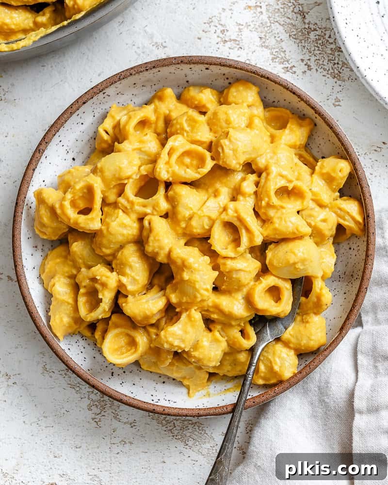 Golden Butternut Macaroni 2 Completed Butternut Squash Mac and Cheese plated, showcasing a rich, golden hue and creamy texture.