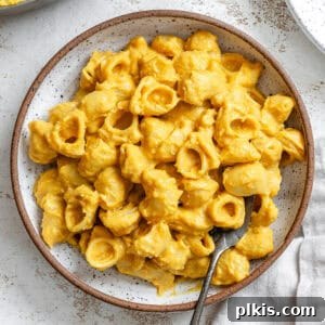 completed Butternut Squash Mac and Cheese plated