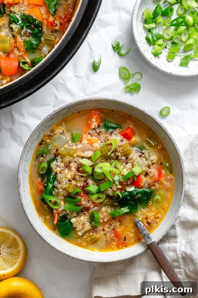Hearty Quinoa and Vegetable Soup Recipe for Comforting Meals 2 completed Quinoa Vegetable Soup in a bowl