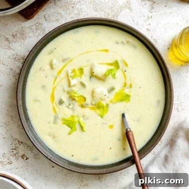 Hearty Quinoa and Vegetable Soup Recipe for Comforting Meals 12 Completed Cream of Celery Soup in a bowl.