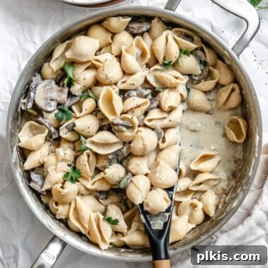Creamy Vegan Cauliflower Alfredo Sauce Recipe 12 completed Creamy Vegan Mushroom Pasta in a pot