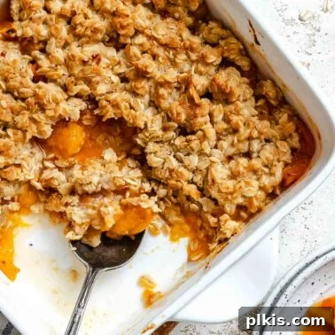 Classic Plum Galette Recipe: Homemade Rustic Tart with Fresh Plums 12 Completed Easy Apricot Crumble (With Oats) in baking dish and plate.