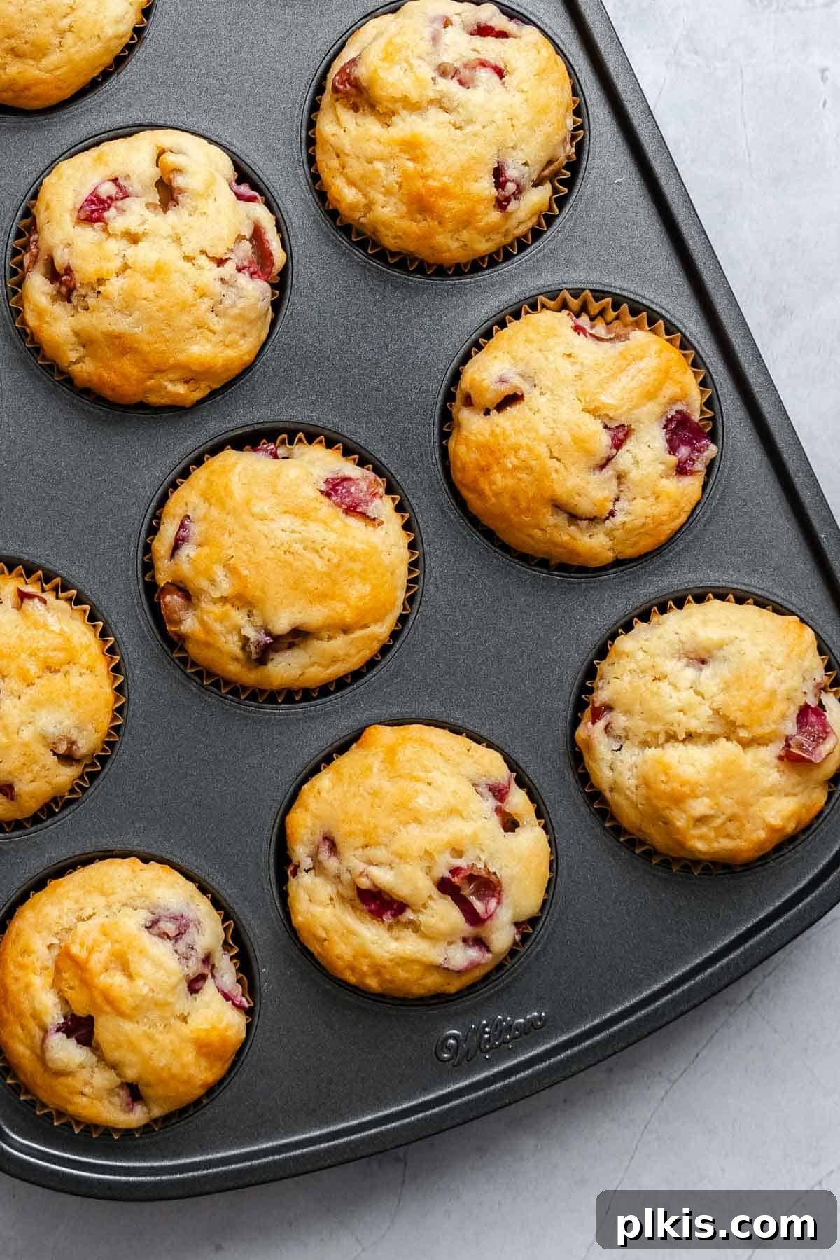 Egg-Free Grape Muffins Recipe 7 Completed Grape Muffins (Egg-Free) in muffin tray.
