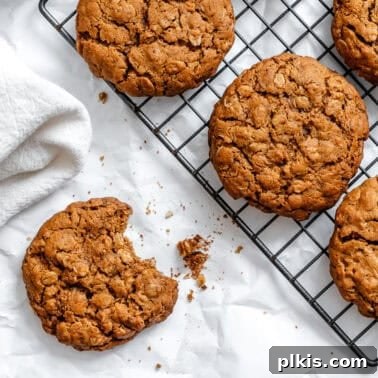 Soft Chewy Banana Bread Cookies Recipe 11 completed Gingerbread Oatmeal Cookies on cooling rack
