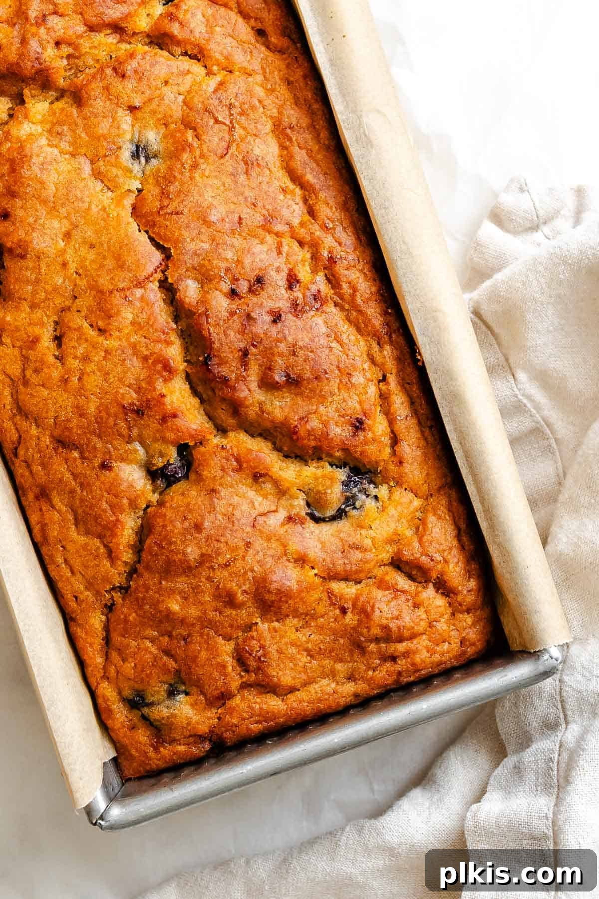 Eggless Cranberry Orange Bread Recipe 8 Completed Cranberry Orange Bread (Eggless!) on white surface.